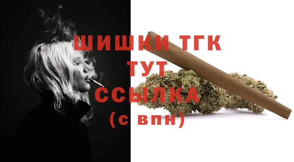 тгк Абинск
