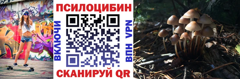 где купить наркоту  Чита  Псилоцибиновые грибы ЛСД 